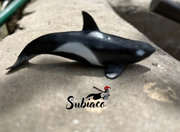 Ballena.