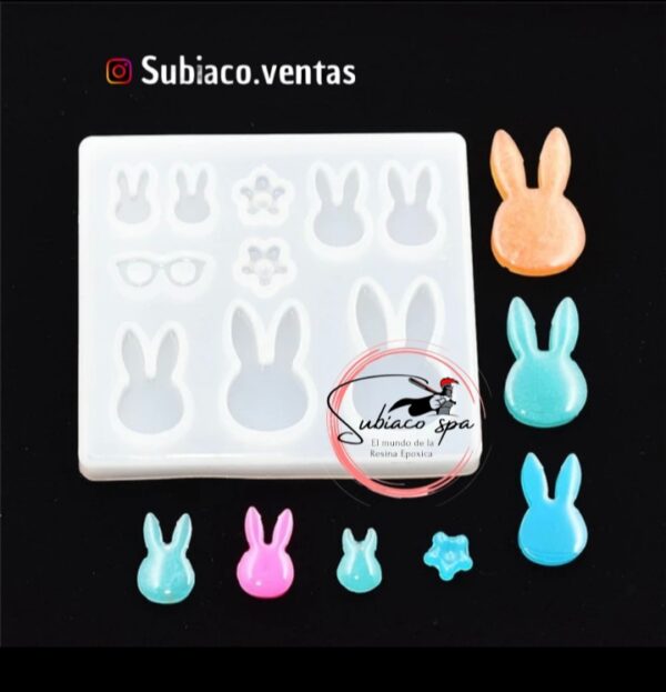 Placa conejos.