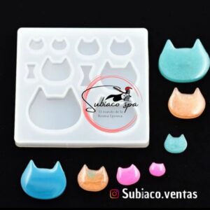 Placa gatitos