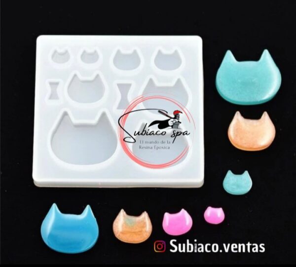 Placa gatitos