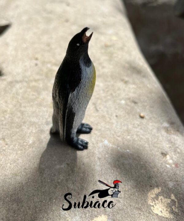 Pingüino