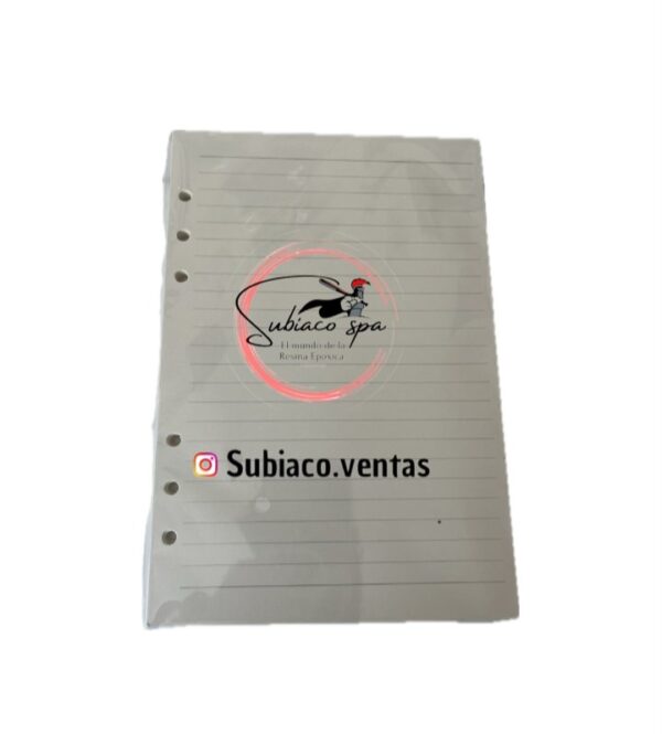 Hojas para agendas (3)