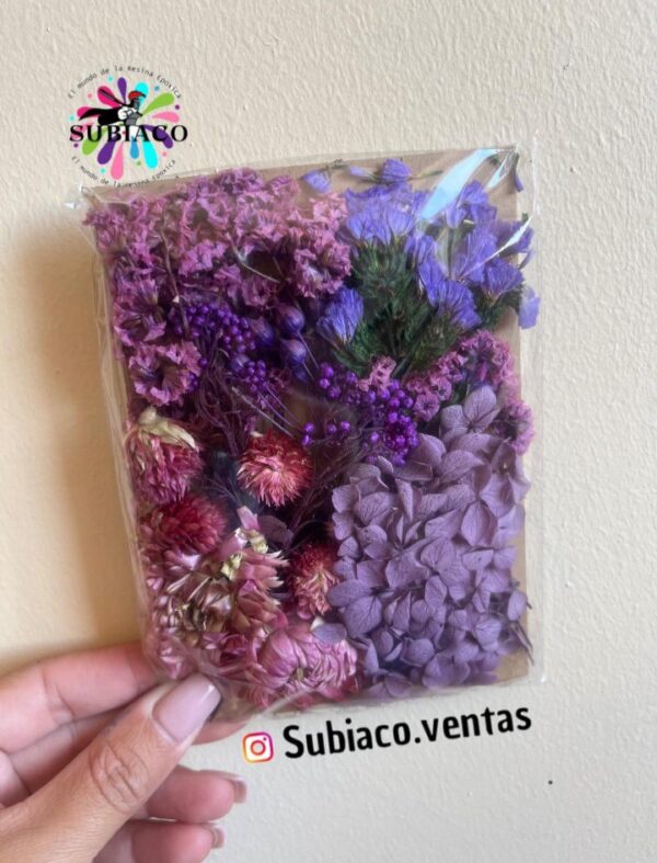 Flores Moradas