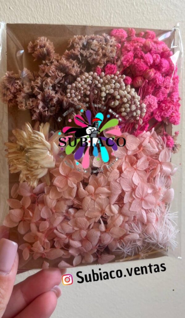 Flores rosa