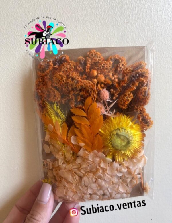 Flores anaranjado