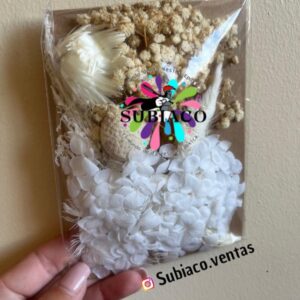 Flores Blanca