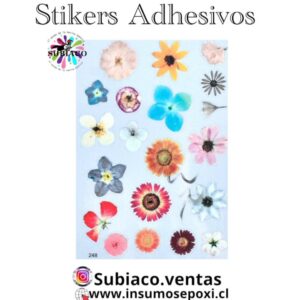 Stickers Adhesivos (B)
